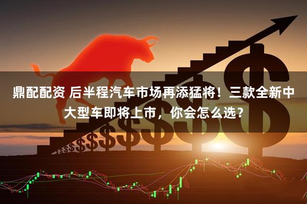 鼎配配资 后半程汽车市场再添猛将！三款全新中大型车即将上市，你会怎么选？