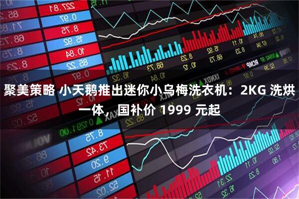 聚美策略 小天鹅推出迷你小乌梅洗衣机：2KG 洗烘一体，国补价 1999 元起