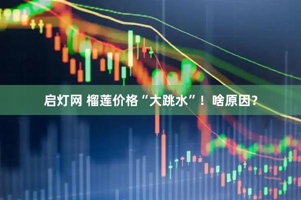 启灯网 榴莲价格“大跳水”！啥原因？