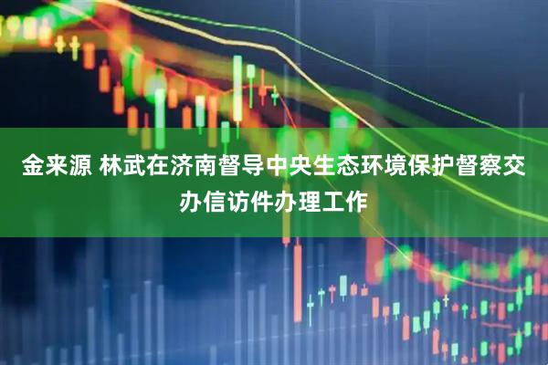 金来源 林武在济南督导中央生态环境保护督察交办信访件办理工作