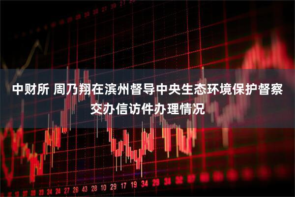 中财所 周乃翔在滨州督导中央生态环境保护督察交办信访件办理情况