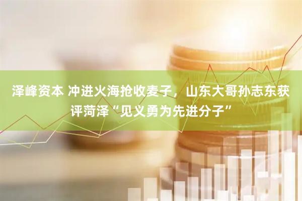 泽峰资本 冲进火海抢收麦子，山东大哥孙志东获评菏泽“见义勇为先进分子”