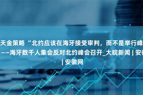 天金策略 “北约应该在海牙接受审判，而不是举行峰会”——海牙数千人集会反对北约峰会召开_大皖新闻 | 安徽网