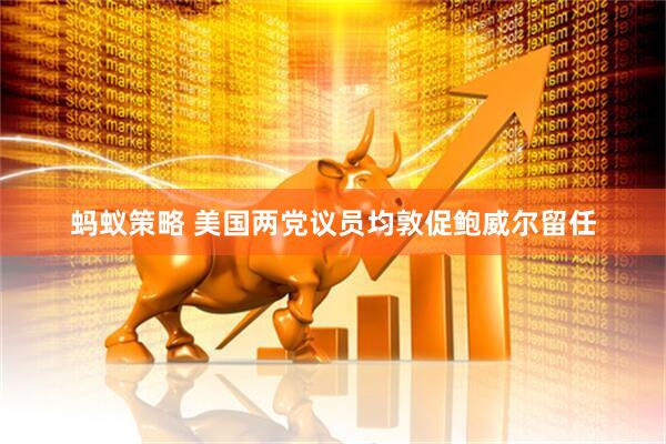 蚂蚁策略 美国两党议员均敦促鲍威尔留任