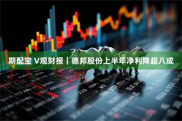 期配宝 V观财报｜德邦股份上半年净利降超八成