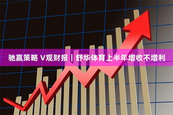 驰赢策略 V观财报｜舒华体育上半年增收不增利