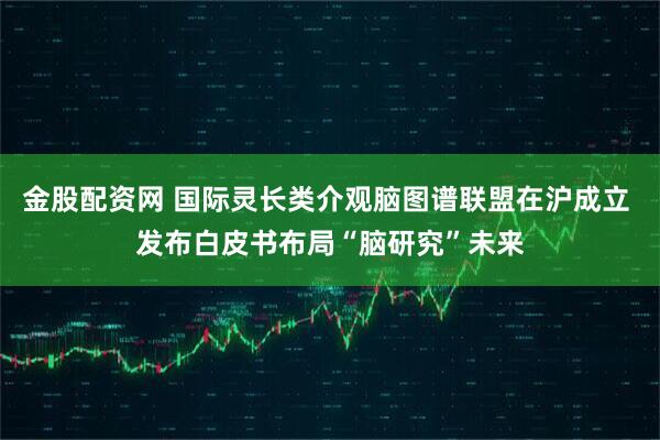 金股配资网 国际灵长类介观脑图谱联盟在沪成立 发布白皮书布局“脑研究”未来