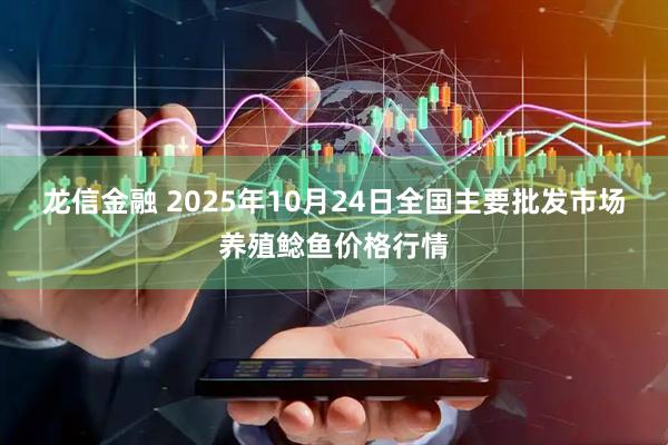 龙信金融 2025年10月24日全国主要批发市场养殖鲶鱼价格行情