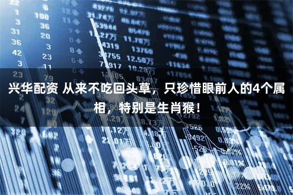 兴华配资 从来不吃回头草，只珍惜眼前人的4个属相，特别是生肖猴！