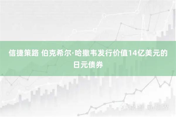 信捷策路 伯克希尔·哈撒韦发行价值14亿美元的日元债券