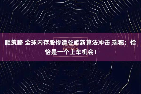 顺策略 全球内存股惨遭谷歌新算法冲击 瑞穗:恰恰是一个上车机会!