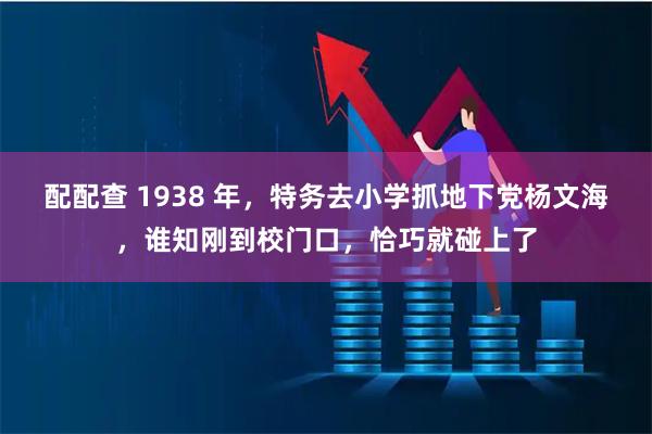 配配查 1938 年，特务去小学抓地下党杨文海，谁知刚到校门口，恰巧就碰上了